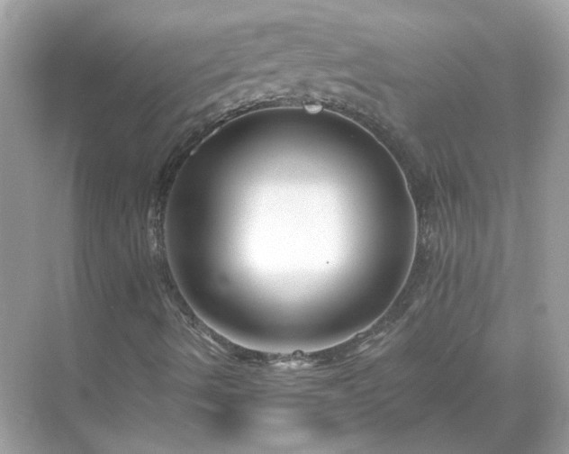 X0000071821490200607072129