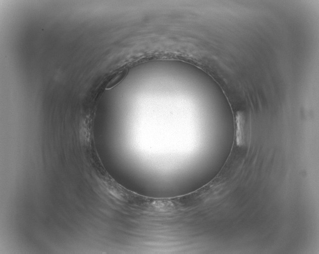 X0000071821491200607072129