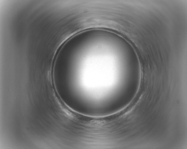 X0000071821513200607072130