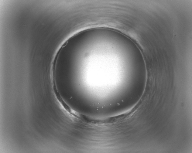 X0000071821516200607072130