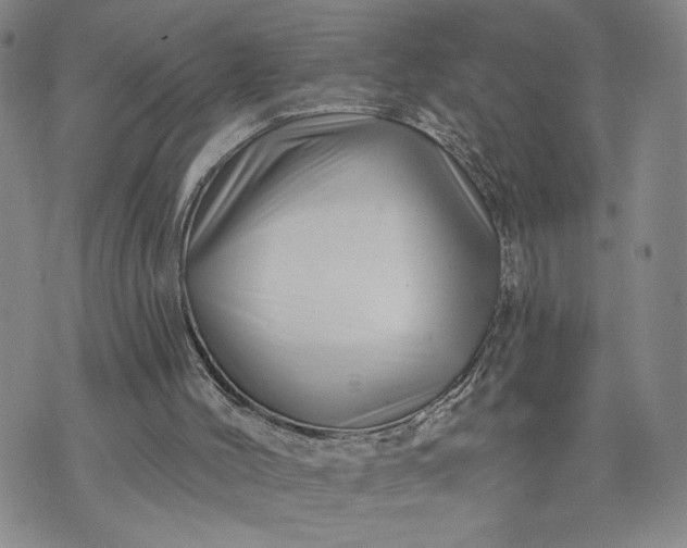 X0000071820004200607141647