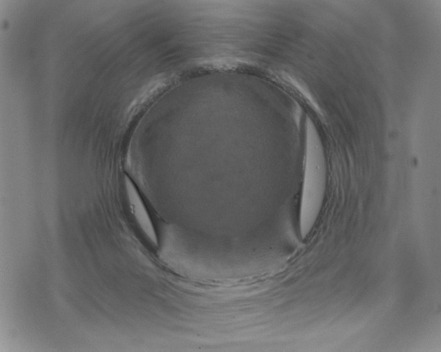 X0000071820023200607141646