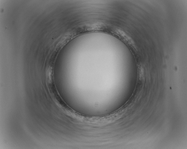 X0000071820026200607141646