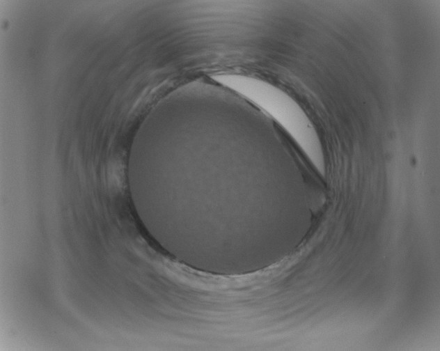 X0000071820035200607141646