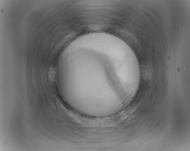 X0000071820036200607141646