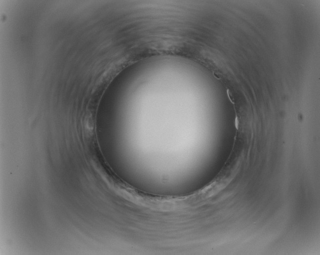 X0000071820040200607141646