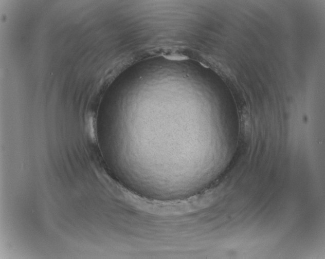 X0000071820042200607141646