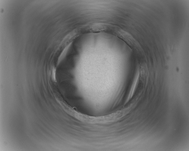 X0000071820046200607141646