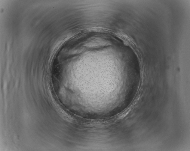 X0000071820049200607141645