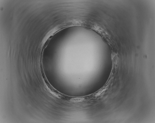 X0000071820051200607141645