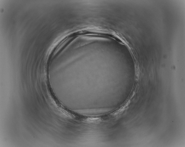 X0000071820055200607141645