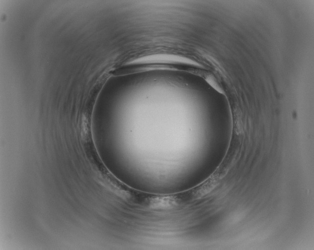 X0000071820077200607141646