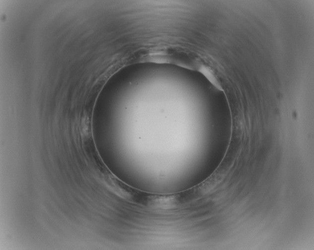 X0000071820081200607141646