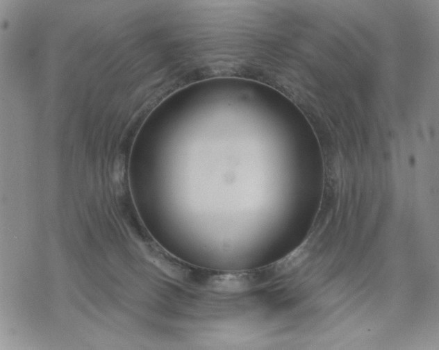 X0000071820082200607141646