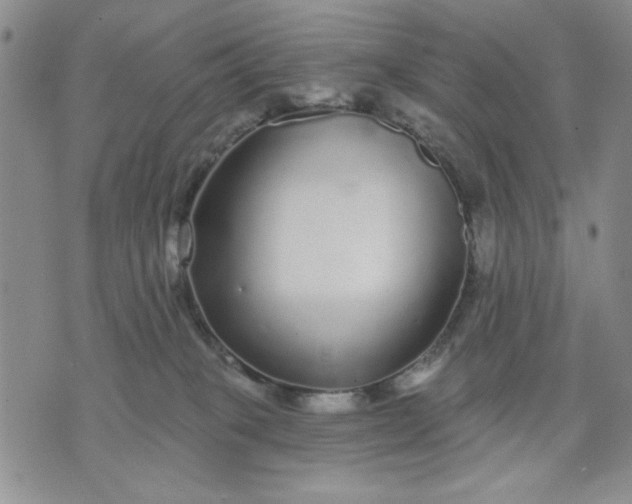 X0000071820085200607141646
