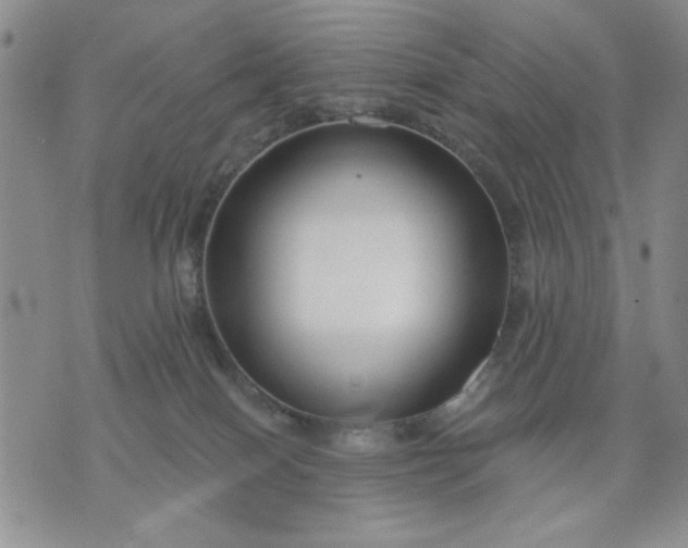 X0000071820086200607141646