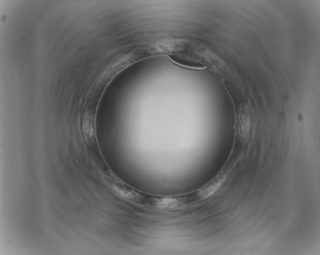 X0000071820091200607141646