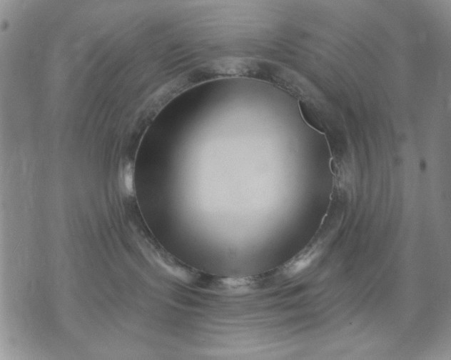 X0000071820095200607141646