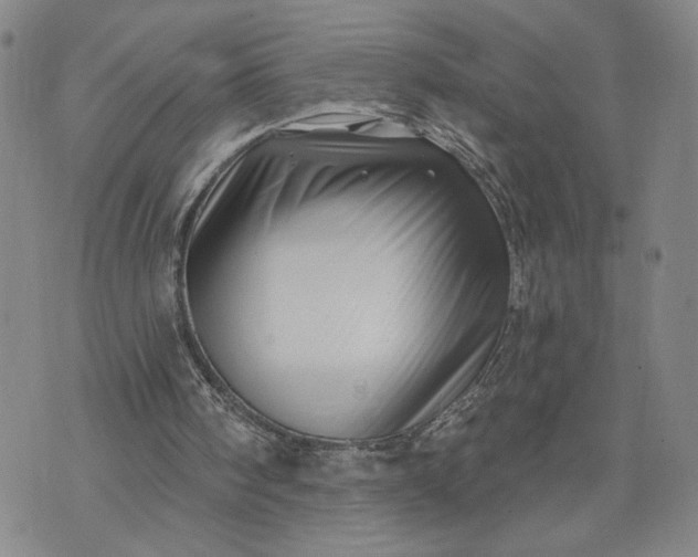 X0000071820098200607141645