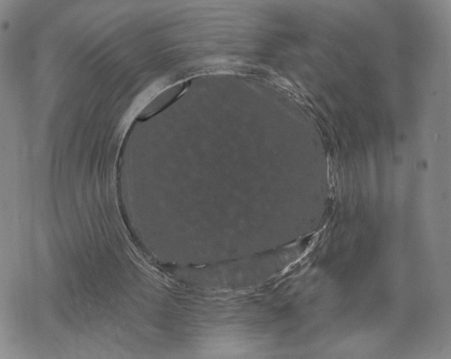 X0000071820099200607141645