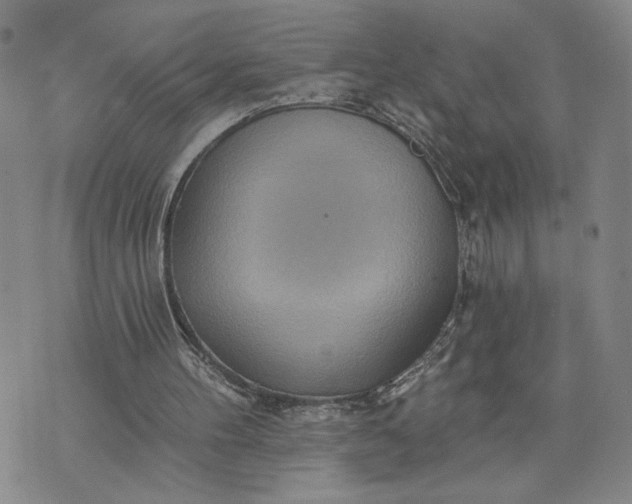 X0000071820100200607141645