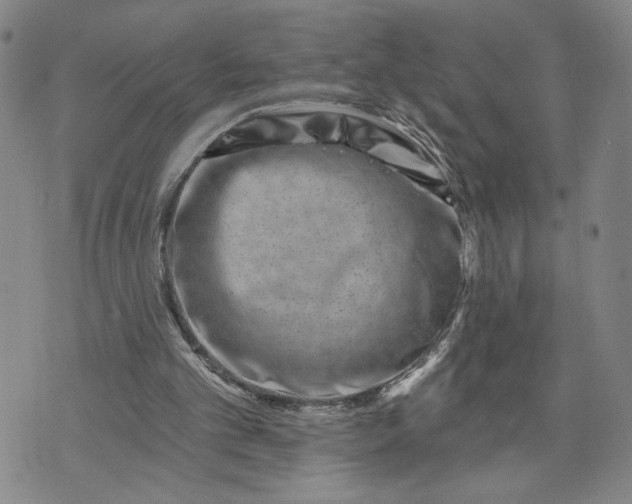 X0000071820101200607141645