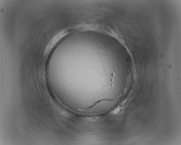 X0000071820103200607141645