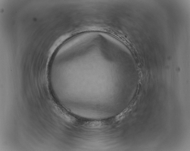 X0000071820104200607141645