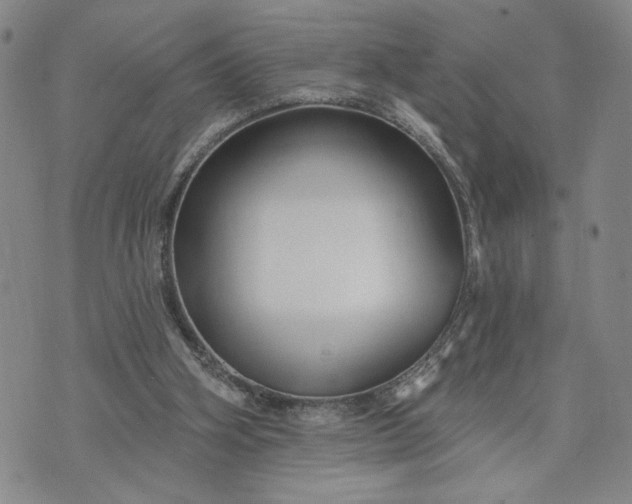 X0000071820106200607141645