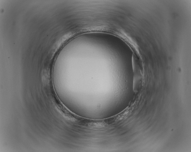 X0000071820107200607141645
