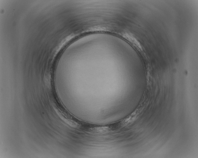 X0000071820108200607141645