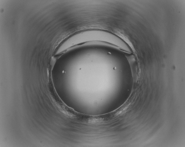 X0000071820109200607141645