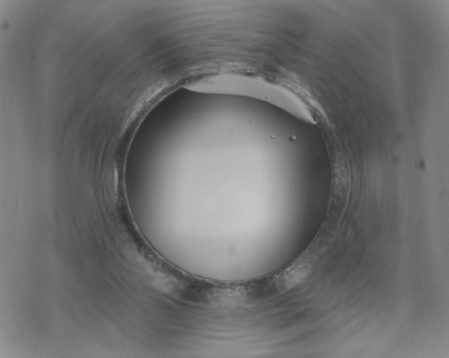 X0000071820110200607141645