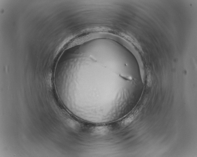 X0000071820111200607141645
