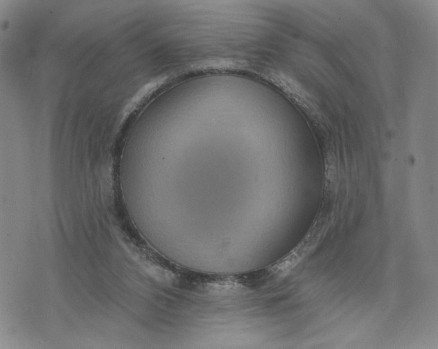X0000071820112200607141645