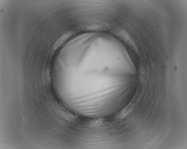 X0000071820116200607141645