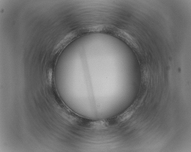 X0000071820118200607141645