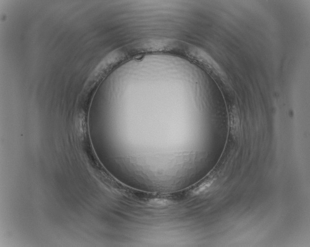 X0000071820119200607141645