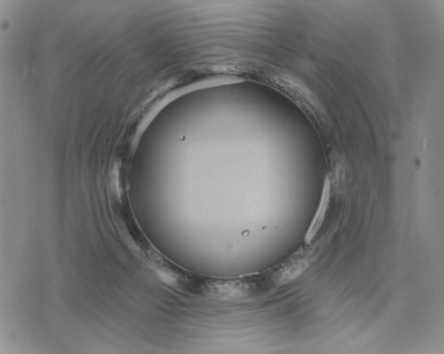 X0000071820121200607141645