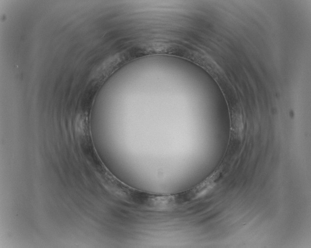 X0000071820126200607141645