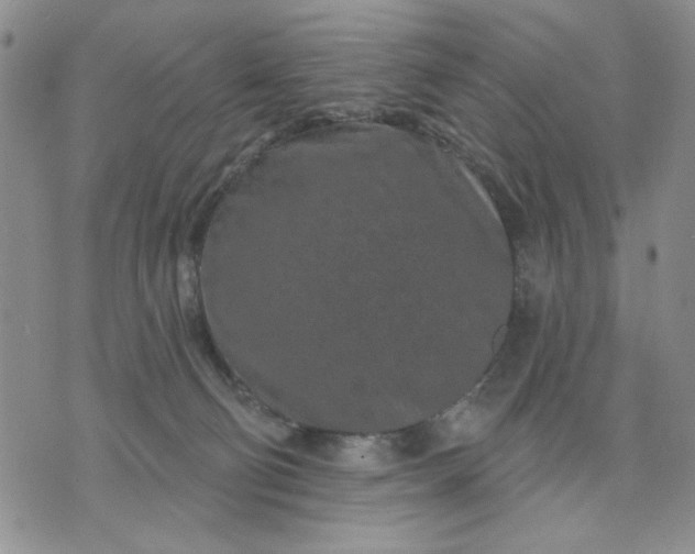 X0000071820130200607141645