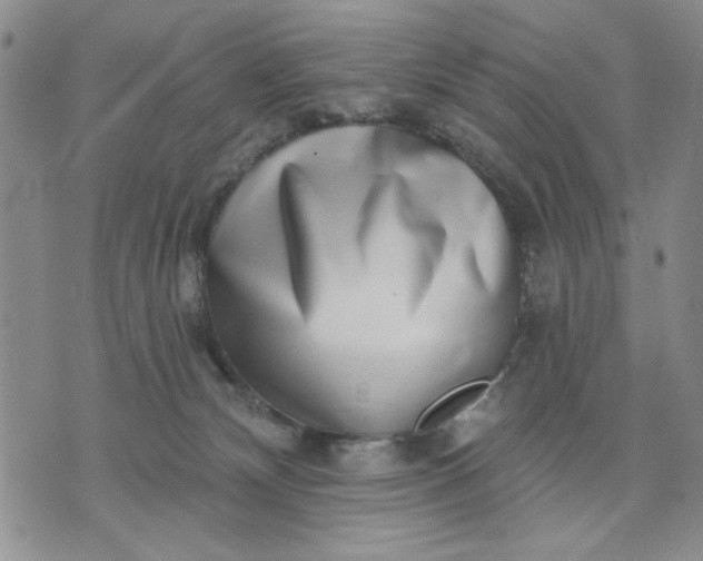 X0000071820132200607141645