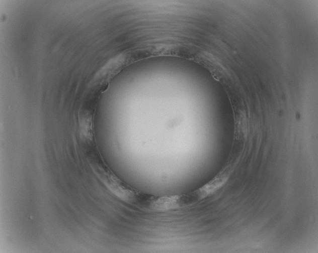 X0000071820138200607141645