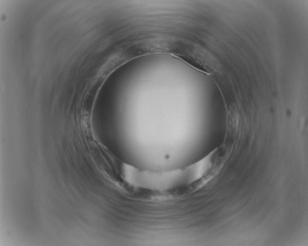 X0000071820141200607141644