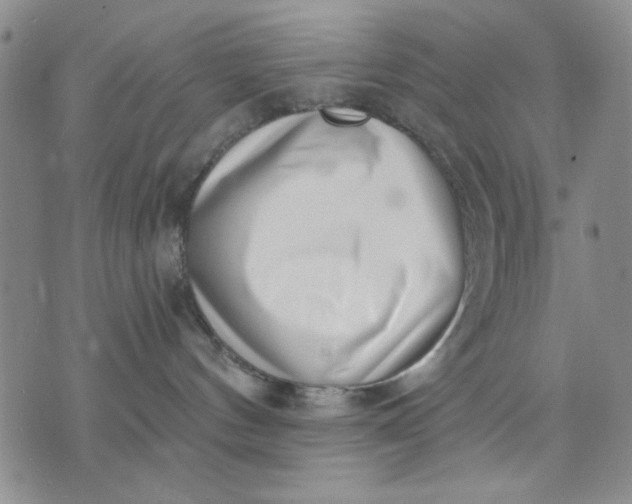 X0000071820144200607141644