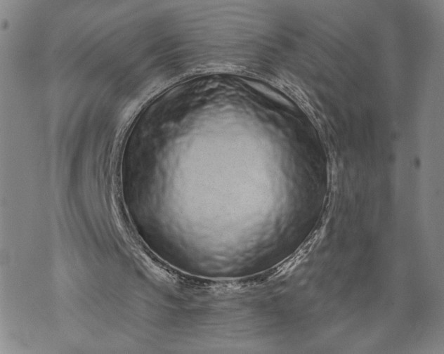 X0000071820145200607141644