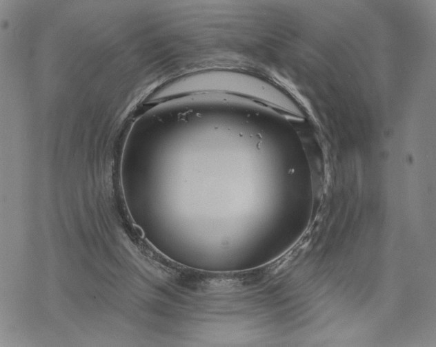 X0000071820154200607141644