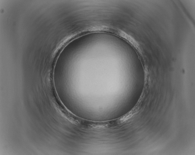 X0000071820155200607141644