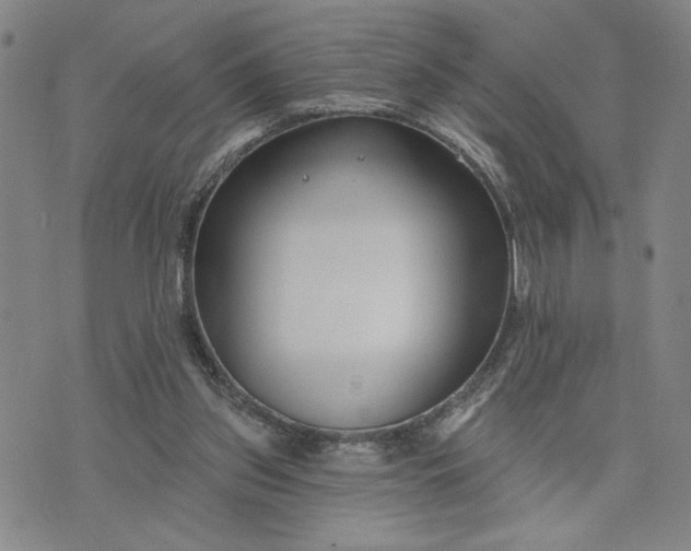 X0000071820157200607141644