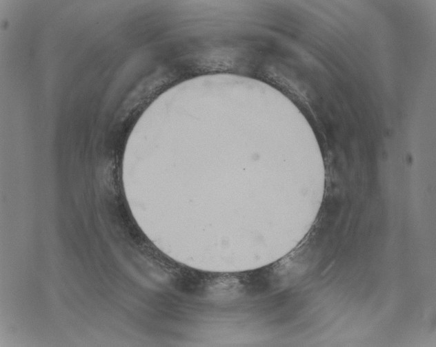 X0000071820162200607141644